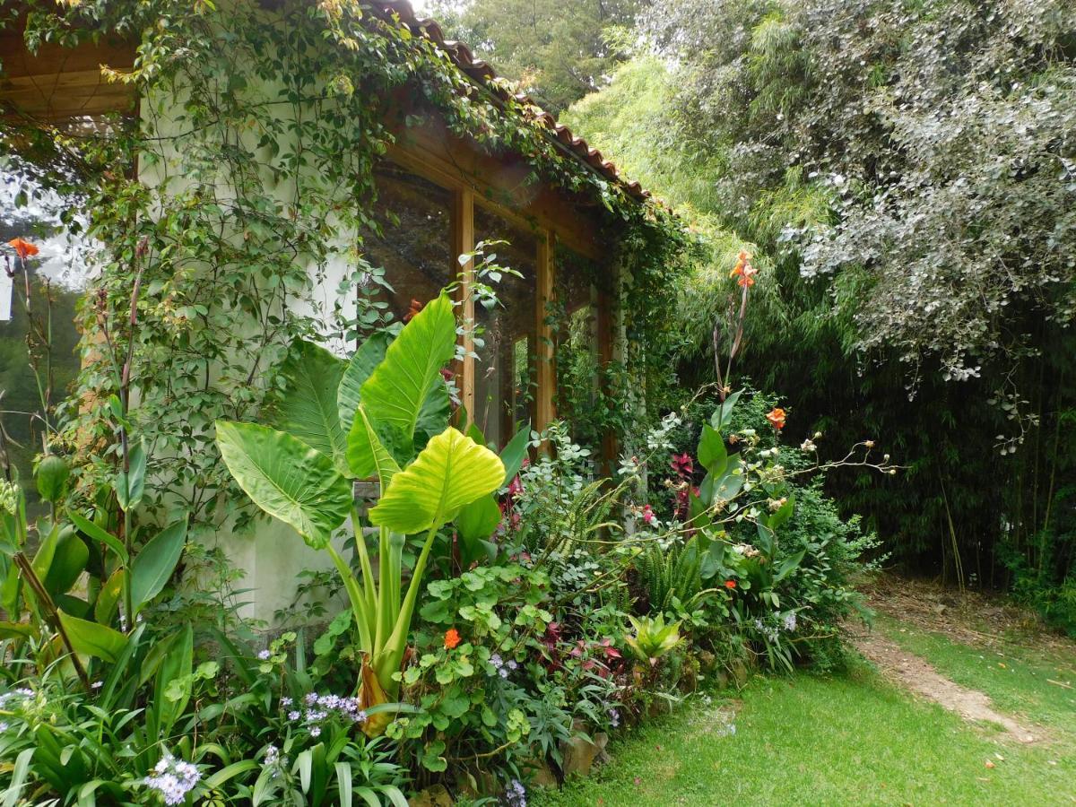 San Nicolas By Rotamundos San Cristóbal de Las Casas Exterior foto